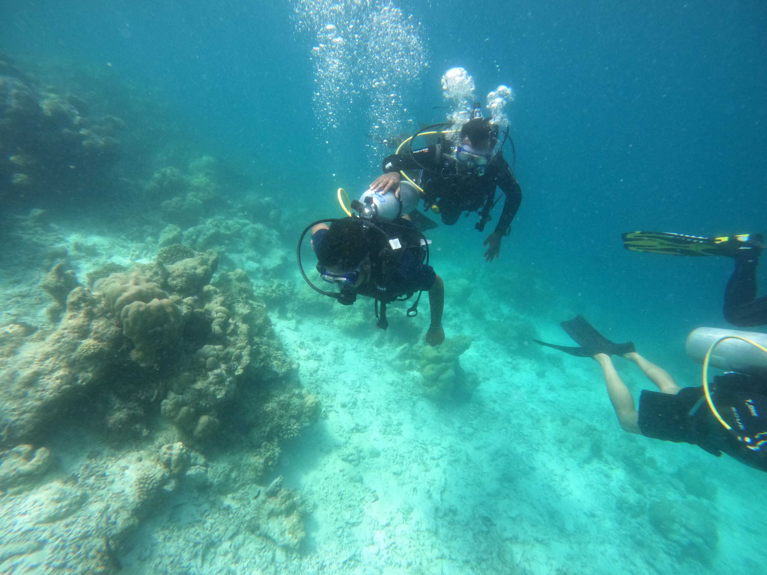 Discover Scuba Dive (DSD)