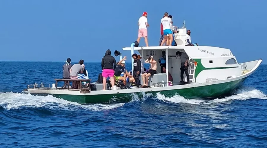 IMG_20230122_100142_041